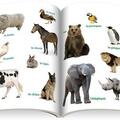 Copertă produs &Icirc;nvăț limba franceză (+ CD) - gallery small 