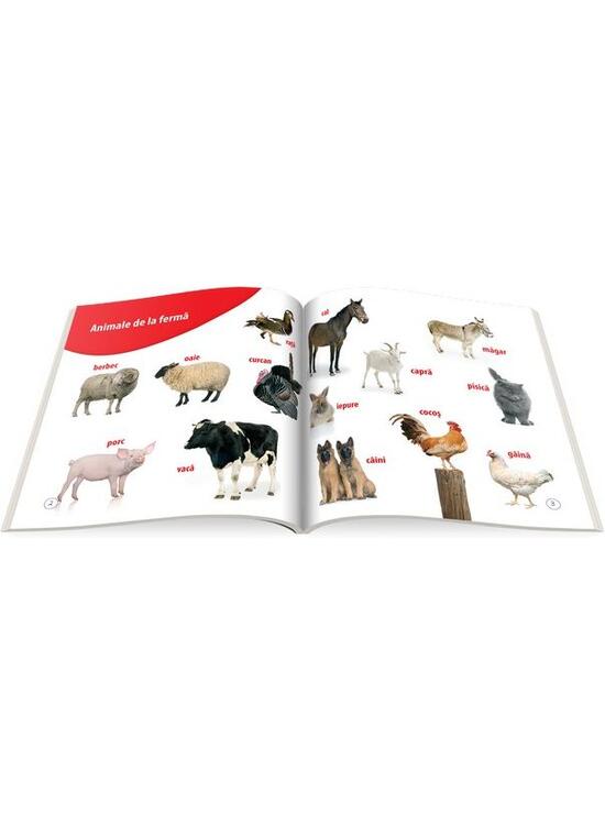 Copertă produs &Icirc;nvăț animalele (+ CD) - gallery big 2