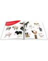Copertă produs &Icirc;nvăț animalele (+ CD) - thumb 2