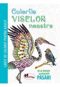 Copertă produs Culorile viselor noastre. Păsări