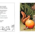 Copertă produs Oul soarelui - gallery small 