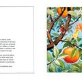Copertă produs Oul soarelui - gallery small 