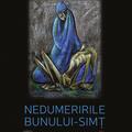 Copertă produs Nedumeririle bunului-simţ - gallery small 