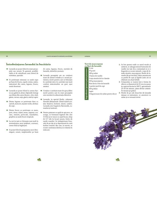 Copertă produs Plante aromate &icirc;n grădină şi bucătărie - gallery big 3