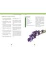 Copertă produs Plante aromate &icirc;n grădină şi bucătărie - thumb 3