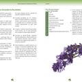 Copertă produs Plante aromate &icirc;n grădină şi bucătărie - gallery small 