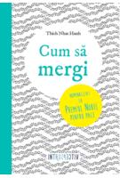 Copertă produs Cum să mergi (Vol. 4)