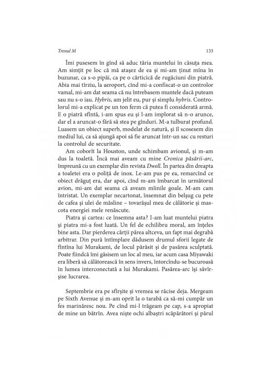 Copertă produs Trenul M - gallery big 8