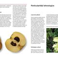 Copertă produs Specii de arbuști fructiferi &icirc;n grădini ți plantații comerciale - gallery small 