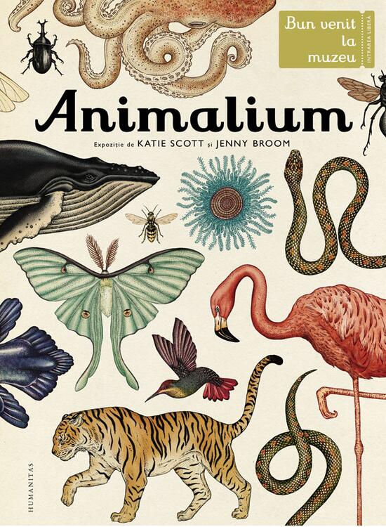 Copertă produs Animalium - gallery big 1