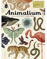 Copertă produs Animalium - thumb 1