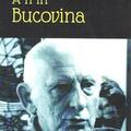 Copertă produs A fi în Bucovina - gallery small 