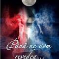 Copertă produs P&acirc;nă ne vom revedea ... - gallery small 