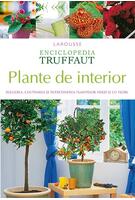 Plante de interior