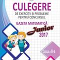 Copertă produs Culegere de exerciții și probleme pentru concursul Gazeta Matematică Junior 2017 - Clasa a II-a - gallery small 