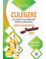 Copertă produs Culegere de exerciții și probleme pentru concursul Gazeta Matematica Junior 2018 - Clasa a III-a si clasa a IV-a - thumb 1