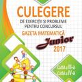 Copertă produs Culegere de exerciții și probleme pentru concursul Gazeta Matematica Junior 2018 - Clasa a III-a si clasa a IV-a - gallery small 