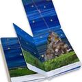 Copertă produs Tati, te rog, adu-mi luna de pe cer - gallery small 