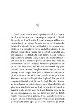 Copertă produs Tristețea &icirc;ngerilor (Vol. 2)