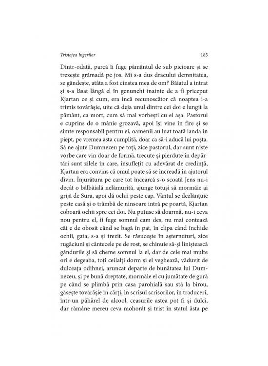 Copertă produs Tristețea &icirc;ngerilor (Vol. 2) - gallery big 7