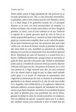Copertă produs Tristețea &icirc;ngerilor (Vol. 2)