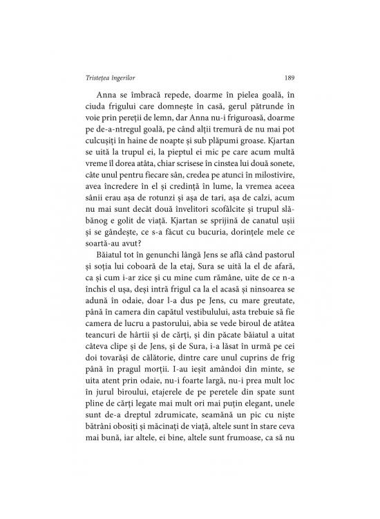 Copertă produs Tristețea &icirc;ngerilor (Vol. 2) - gallery big 11