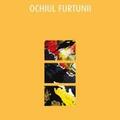 Copertă produs Ochiul furtunii - gallery small 