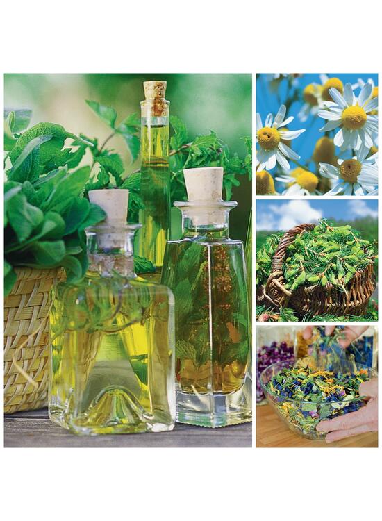 Copertă produs Plante medicinale şi aromatice din farmacia bunicii - gallery big 2