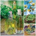 Copertă produs Plante medicinale şi aromatice din farmacia bunicii - gallery small 