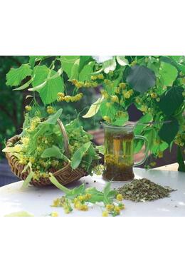 Copertă produs Plante medicinale şi aromatice din farmacia bunicii