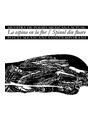 Copertă produs La espina en la flor/Muestra de poes&iacute;a mexicana actual &ndash; Spinul din floare/Poeți mexicani contemporani - thumb 1