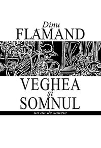 Copertă produs Veghea și somnul. Un an de sonete