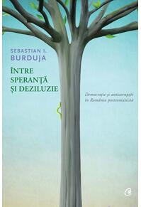 Copertă produs &Icirc;ntre speranță și deziluzie