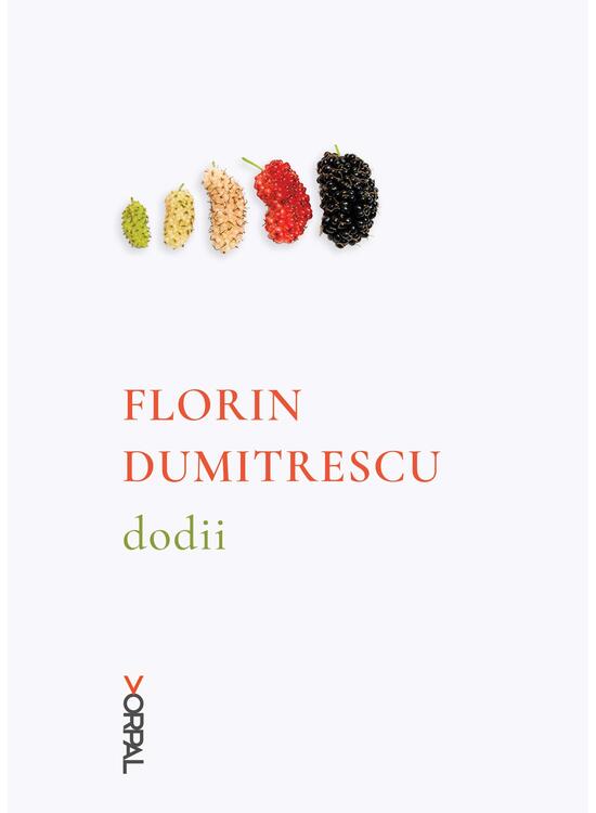 Copertă produs Dodii - gallery big 1