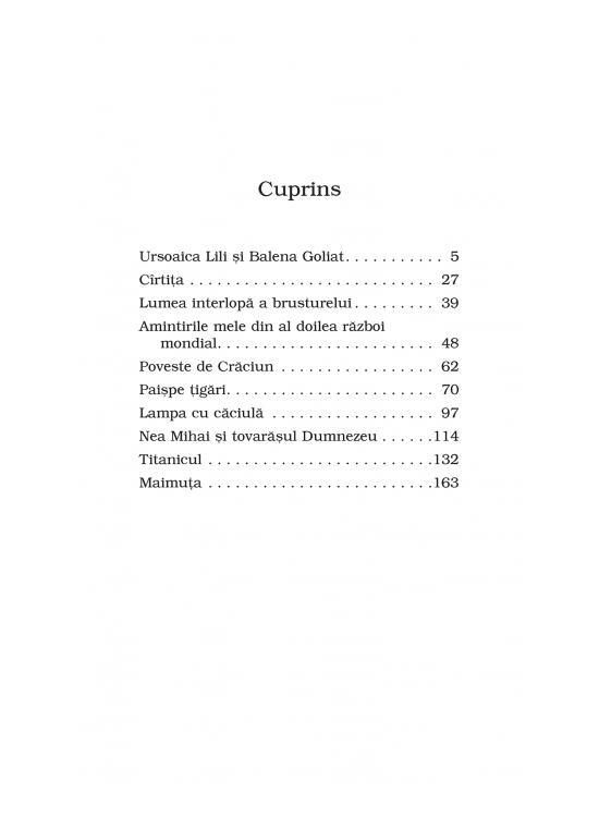 Copertă produs Lampa cu căciulă (Top 10+) - gallery big 4