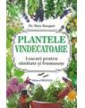 Copertă produs Plantele vindecătoare. Leacuri pentru sanatate și frumusețe - thumb 1