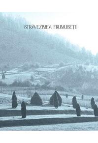 Copertă produs Străvezimea frumuseții