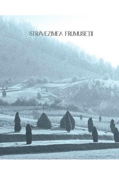 Copertă produs Străvezimea frumuseții