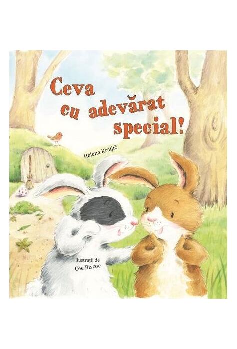 Copertă produs Ceva cu adevărat special
