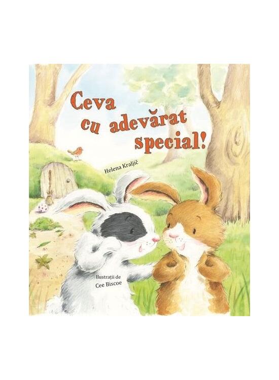 Copertă produs Ceva cu adevărat special - gallery big 1