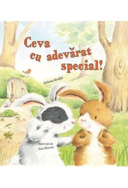 Copertă produs Ceva cu adevărat special