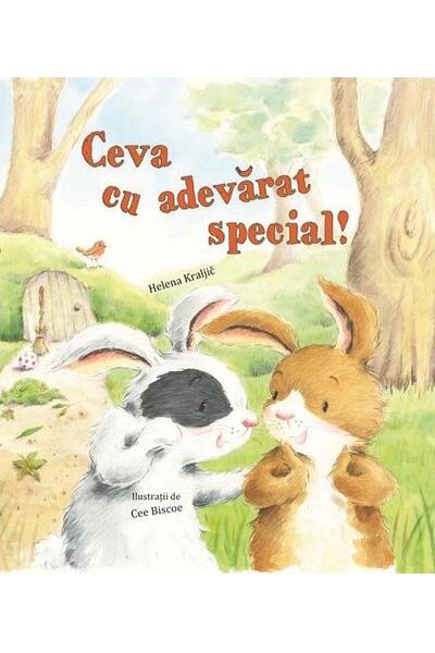 Ceva cu adevărat special