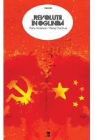 Revoluții în oglindă