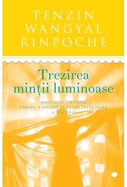 Copertă produs Trezirea minții luminoase