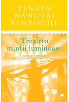 Trezirea minții luminoase