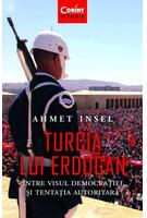 Turcia lui Erdogan