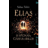 Copertă produs Elias şi spioana cărturarilor (Vol. 1)