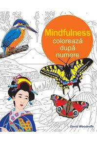 Copertă produs Mindfulness. Colorează după numere