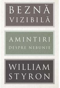 Copertă produs Beznă vizibilă