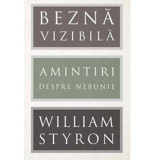 Beznă vizibilă. Amintiri despre nebunie